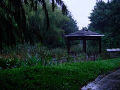 -同里国家湿地公园