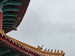 -青岛海滨风景区
