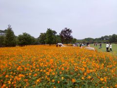 -艾溪湖湿地公园