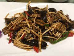 -丁老爷子苏香圆