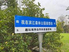 -上海滨江森林公园