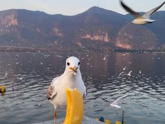-呈贡滇池生态湿地公园