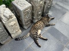 -正阳书局(西四南大街店)