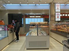 -喜莲娜动物奶油生日蛋糕(箭盘店)