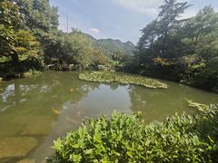-中国茶叶博物馆(双峰馆区)