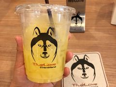 -TrueLove @ Neverland (Husky Cafe)
