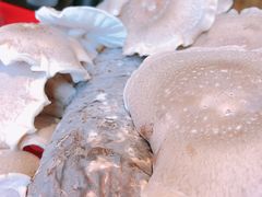 -谭鸭血老火锅(漳州路店)