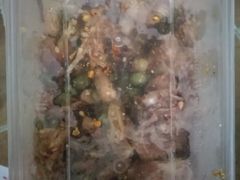-鸿运兔·手撕烤兔(天府广场店)