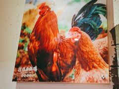 -挂旗柴锅鸡(蚌山区嘉年华店)