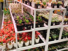 -KKV(深圳宏发大仟里店)