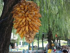 android_upload_pic-人民公社大食堂(顺义总店)