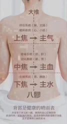 -香薇妮丝·定制减肥·身材管理