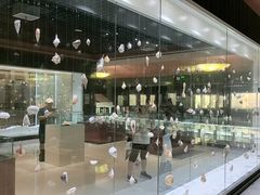 -青岛贝壳博物馆