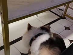 -南屏步行街