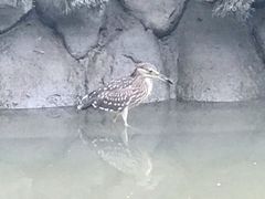 -苏州河梦清园环保主题公园