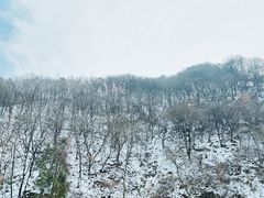 -西安祥峪森林公园