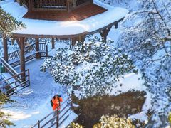 -瓦屋山景区