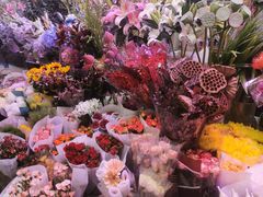 -花鸟鱼虫鲜花绿植市场(玉泉路店)