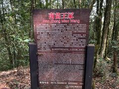 -云南屏边大围山国家公园