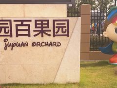 -菊园百果园
