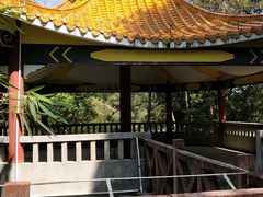 -广州市流溪河国家森林公园