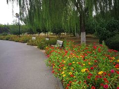 -永定河休闲森林公园