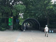 -人民公园-相亲角