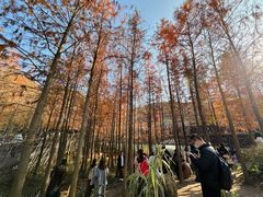 -梅峰山地公园