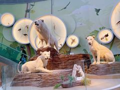 -陕西自然博物馆