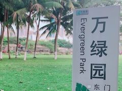 -万绿园