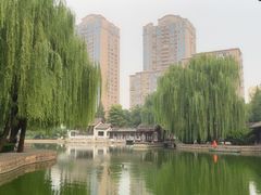 -团结湖公园