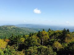 iphone_upload_pic-凤凰山国家森林公园