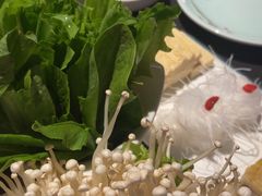 -额尔敦传统涮(公园西路店)