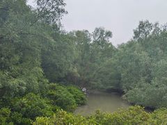 -大亚湾红树林城市湿地公园