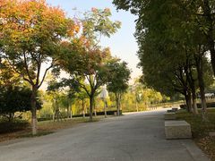 -尚贤河湿地