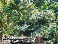 -海口火山口国家地质公园