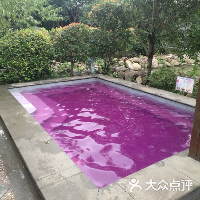 华美达广场酒店樱花温泉