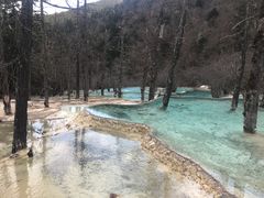 -黄龙山原始森林景区