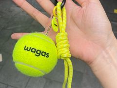 -Wagas沃歌斯(大学路店)