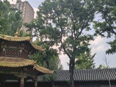 -护国法轮寺