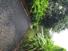 iphone_upload_pic-大象粑粑造纸公园