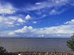 -上海滨江森林公园