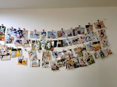 -Husky Go! 哈士奇体验馆·宠物咖啡厅狗咖