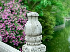 -北京动物园