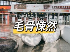 -东营胜利机场