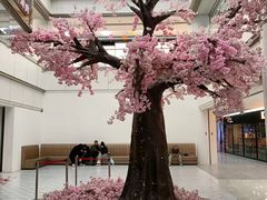 -友谊新天地广场(金街店)