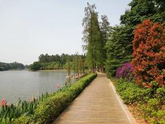 -南国桃园旅游度假区