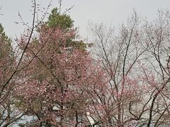 -吉林大学(南岭校区)