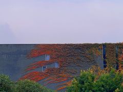 -成都许燎源现代设计艺术博物馆