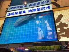 -涿派·炝锅鱼(涿州店)